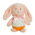 thumbnail image 5 of Edunwind Bunny Stuffed Animal Rabbit and Christmas Thanksgiving Plush Toy Saved Baby Stuffed Animals Plush Toy for Girls Boys Kids Friends Christmas Birthday Gifts, 5 of 6