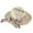 Beige, variant on Summer Hats for Women Wide Women Straw Beach Hat Little Girl Sun Cap Ladies Hats Hat Women M
