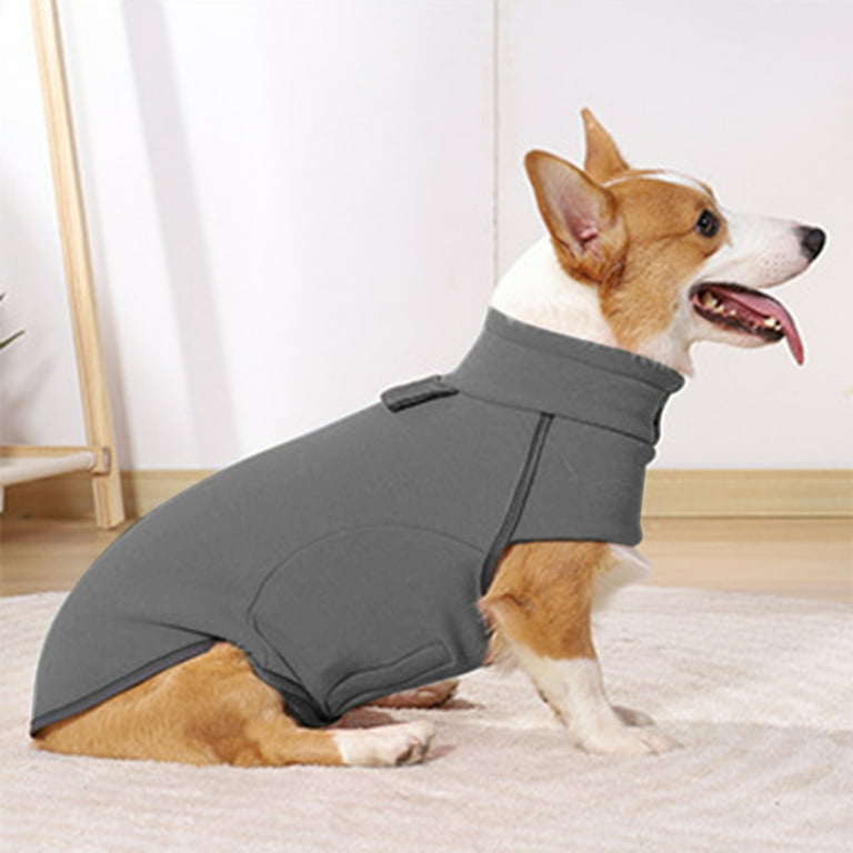 Queenmore Autumn and Winter New Pet Dog Clothes， Home Warm