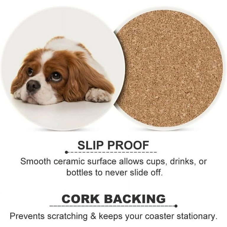 Cavalier King Charles Spaniel Slides Cavalier King Charles Spaniel Slides