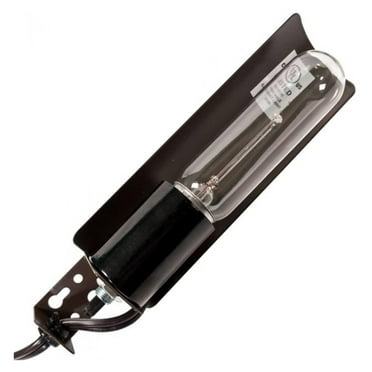 Brown Single Light Curio Light