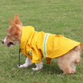 thumbnail image 2 of [Big Clear!]Pets Imperméables pour Chiens avec Poncho Slicker à Capuche Imperméable avec Sweat à Capuche à Bande Réfléchissante (S-XL), 2 of 6