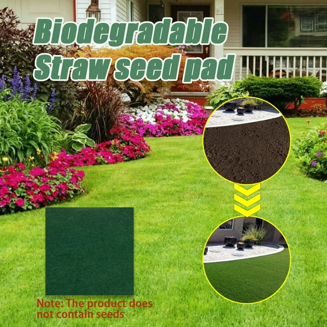 Jinsinto Tapis d'Herbe Biodégradable, Rouleau d'Herbe Biodégradable pour Pelouse et Gazon, Engrais pour Propagation de Graines d'Herbe Agressive 3*0,2 m