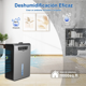 thumbnail image 2 of Deshumidificador Eléctrico Con Humidificador 3500ml Belug,Negro, 2 of 5