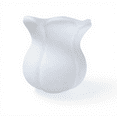 thumbnail image 1 of Abbraccia Pantalla de vidrio esmerilado floral, 1 of 6