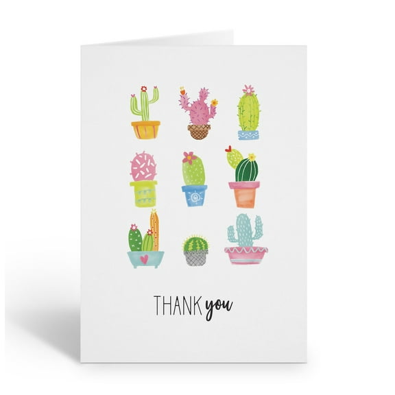 Stonehouse Collection | Succulent Thank You Note Cards | Set of 10 Blank Cactus