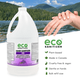 thumbnail image 2 of Hand Sanitizer Gel Refill, 4 Litres, Lavender Scented, 2 of 7