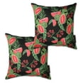 thumbnail image 1 of ACCENT PILLOWS 2 PC, 1 of 7