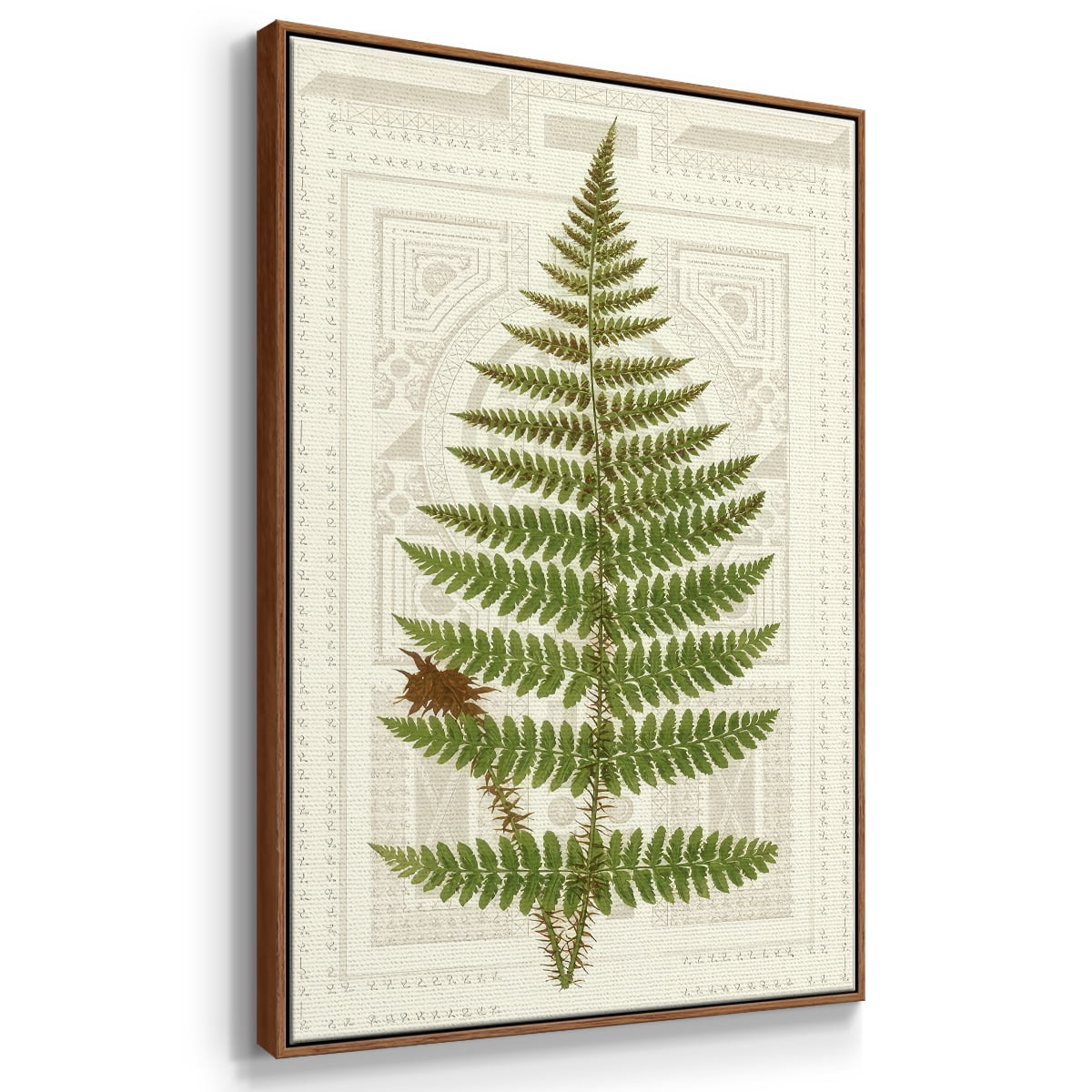 Garden Ferns V - Framed Gallery Wrapped Holiday Canvas - 25 x 37 - Rosewood Frame