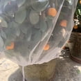 thumbnail image 3 of Cubierta Transparente Antipájaros para Árboles Frutales Bonsái Frutas Y Verduras (100 Cm), 3 of 7