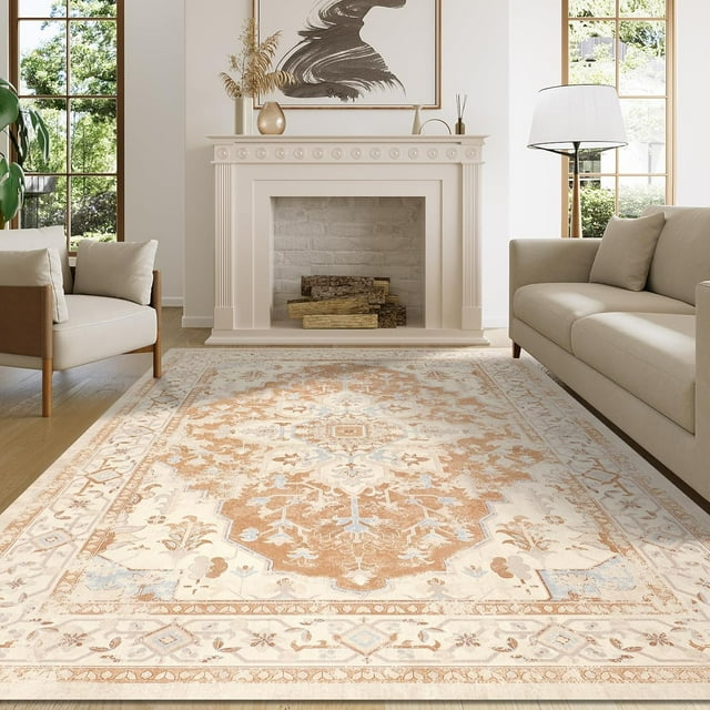 Vintage Area Rug x Washable Living Room Rug Indoor Print Accent Rugs for Bedroom Distressed Thin Throw Rugs Carpet for Living Room Kitchen Entryway