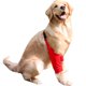 thumbnail image 2 of Mangas de recuperación para perros, traje de recuperación para perros resistente a la abrasión, las heridas de las mascotas evitan lamer, morder, mantener seco (2XL,), 2 of 5