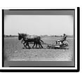 thumbnail image 2 of Historic Framed Print, Planting tomatoes, Wabash Farms, Indiana, 17-7/8" x 21-7/8", 2 of 9