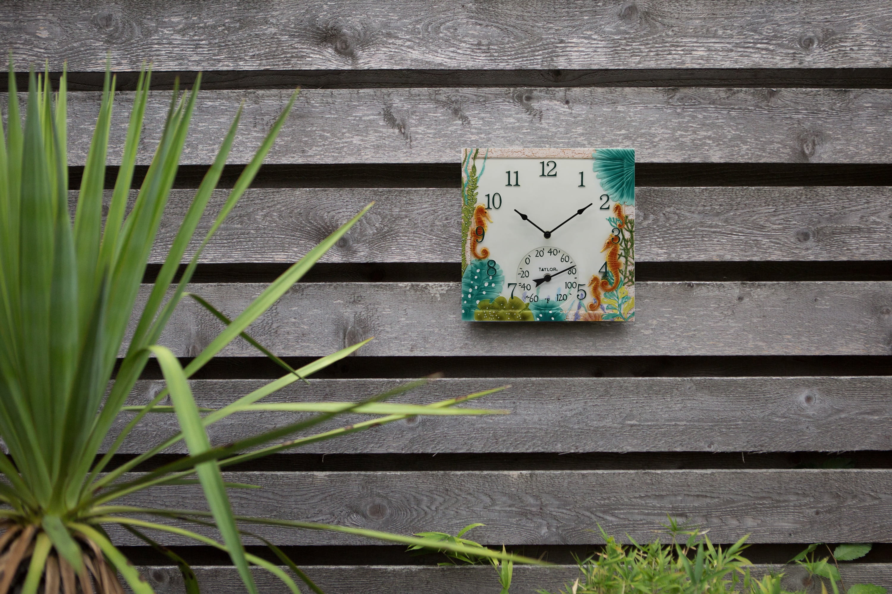 Taylor Precision 14" Quartz Poly Resin Indoor & Outdoor Seahorse Wall Clock, Thermometer