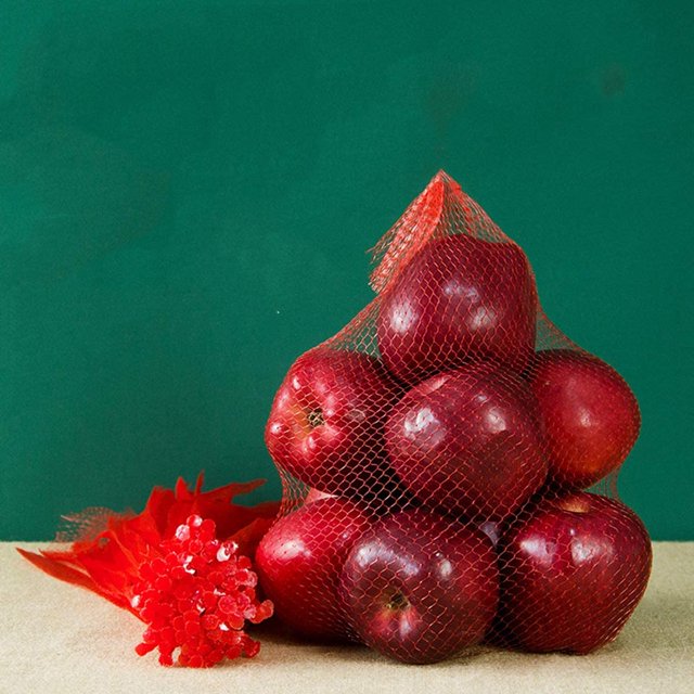 100Pcs Reusable Mesh Nylon Netting with Loop-Style Closures,Plastic Storage Net Bags for Grocery Shopping & Storage of Fruit Vegetable Seadfood & Garden Produce(Red)