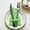 Green-GN-clearacne, variant on WWG 4-Pack Easter Bunny Felt Cutlery Pocket 6.3x3.9in Silverware Pouch for Festive Table Decor Cutlery Storage Bag Holiday Table Setting Supplies