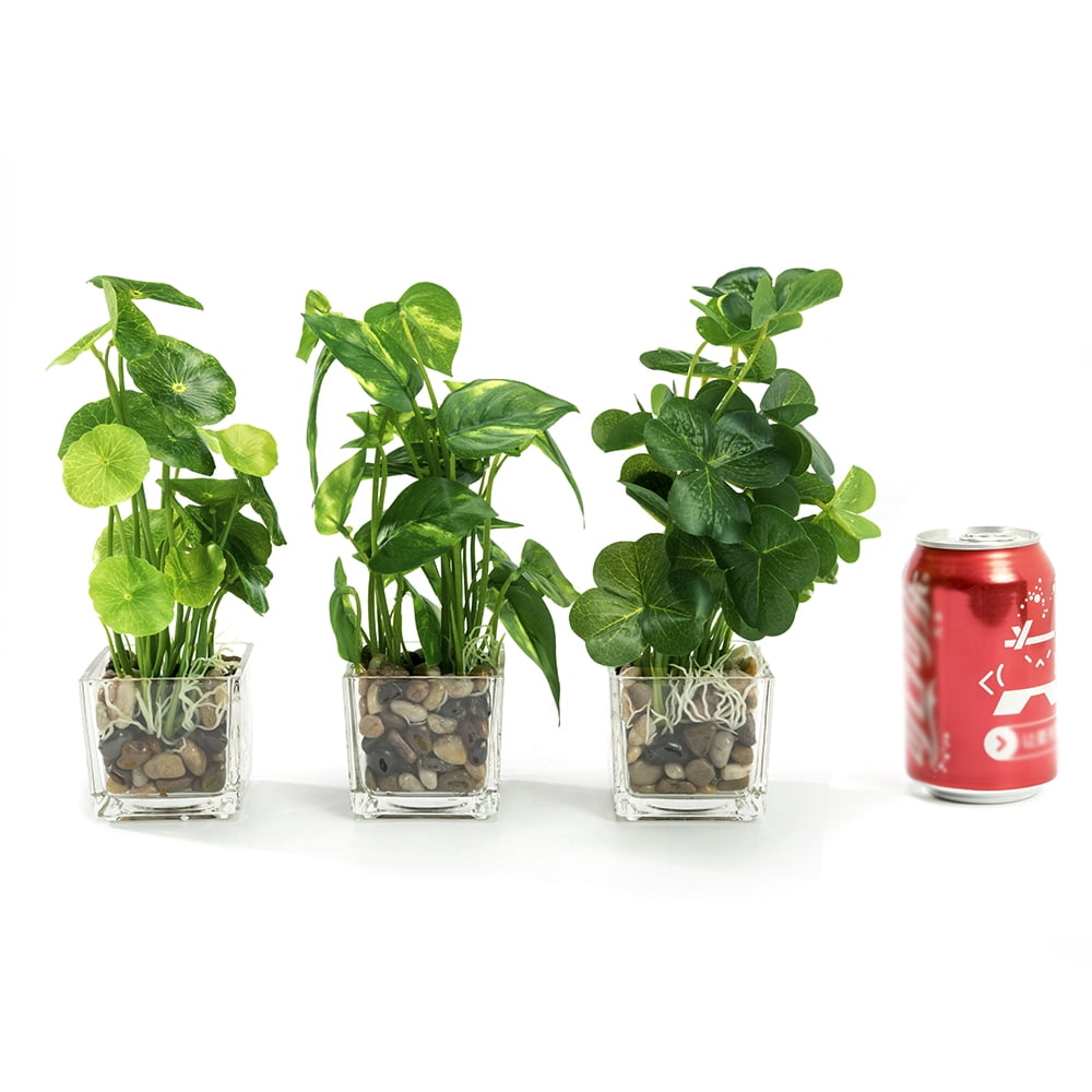 K-Cliffs 3pcs Modern Artificial Green Mini Faux Plants  in Glass Pots, Each plant- 5.7L x 5.7W x 9.3H inches; each pot- 2.7L x 2.7W x 2.6H, 1 lb