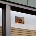 thumbnail image 3 of Boxer Puppy Dog Sleeping on Guitar Home Business Office Sign, 3 of 7