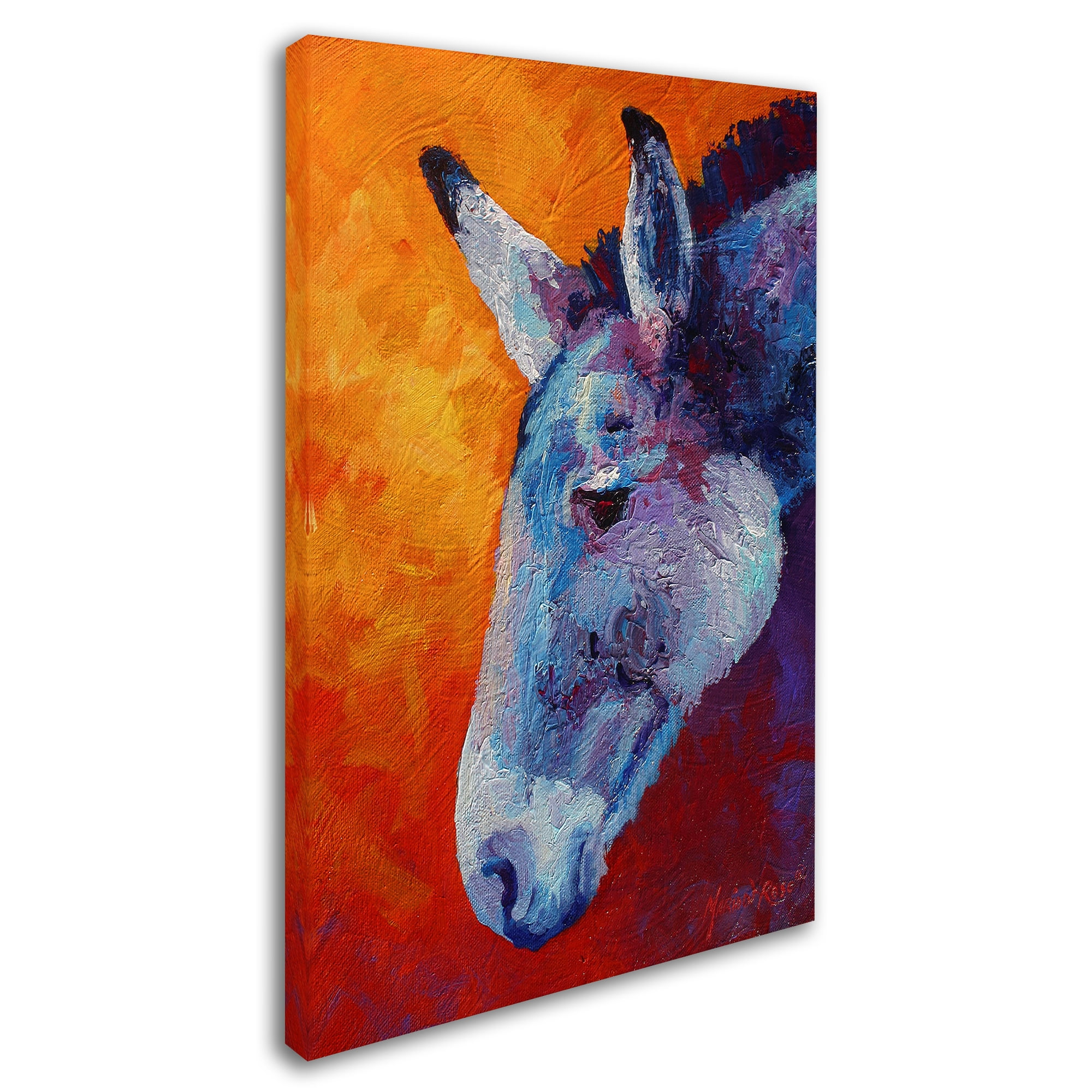 Marion Rose 'Burro IV' Canvas Art