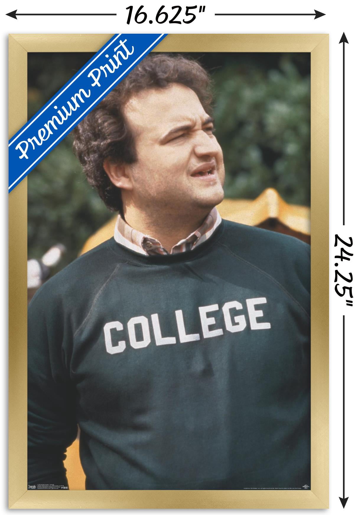Animal House - John Belushi College Wall Poster, 14.725" x 22.375", Framed