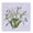 Vintage Snowdrop Botanical Scene, variant on Stupell Industries Cottage Sunflowers & Bee on Blue Black Framed Giclee Art, 12 x 12, by Susan Winget