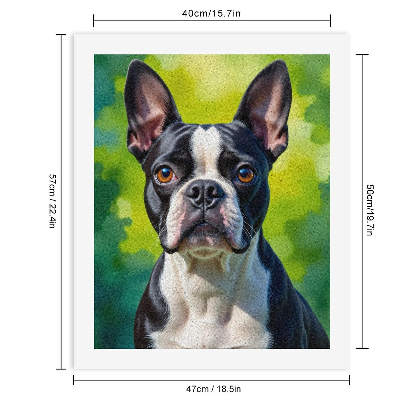 Paint by Numbers Kit for Adults, Boston Terrier Portrait Outdoors Paint by Numbers, Easy Paint by Numbers Kit for Adults Beginner, DIY Adult Paint by Number Kits on Canvas, Home Decor