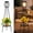B- 1Pack Black - Edison bulbs, variant on Landscape & Walkway Lights A- 1Pack Black - Edison bulbs