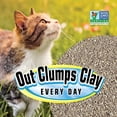 thumbnail image 3 of Arena Para Gatos Aglomerante Natural Smartcat - 5lb, 3 of 7