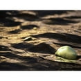 thumbnail image 3 of Plank, Savanah 14x12 Black Modern Framed Museum Art Print Titled - USA, Southeast Alaska, Ketchik, 3 of 5
