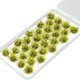 thumbnail image 3 of Kits de terreno de 32 piezas con racimos de flores en miniatura para decoración de maquetas. Verde claro, 3 of 9