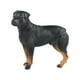 thumbnail image 5 of Figura de perro de pie pintada a mano, estatua realista, modelo de escritorio para niños, regalo rottweiler, 5 of 9
