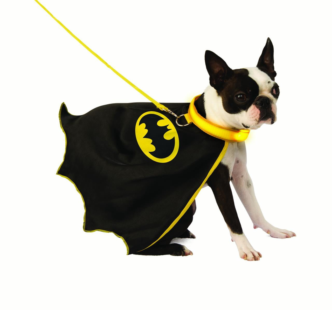 xl dog batman costume