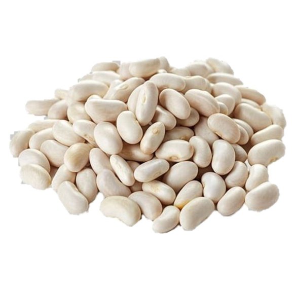 Navy Bean