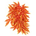 thumbnail image 2 of KAKOWELY Planta artificial realista de plástico para decoración de peceras, enredadera falsa para terrario., 2 of 4