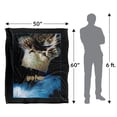 thumbnail image 5 of Harry Potter Owl Poster Officially Licensed Silky Touch Super Soft Throw Blanket 50' x 60', 5 of 6