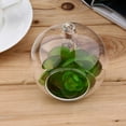 thumbnail image 2 of Vase Suspendu en Verre Transparent de 8 cm pour Plantes, Décoration Maison, Terrarium, 2 packs, 2 of 12