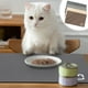 thumbnail image 1 of Tapete de Alimentación de Silicona Impermeable y Antideslizante para Perros y Gatos | Beige 50 X 35 Cm | Fácil de Limpiar | Aislamiento Térmico Duradero | 1 Unidad, 1 of 6