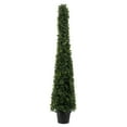 thumbnail image 5 of Vickerman 4' Potted Artificial Boxwood Cone., 5 of 9
