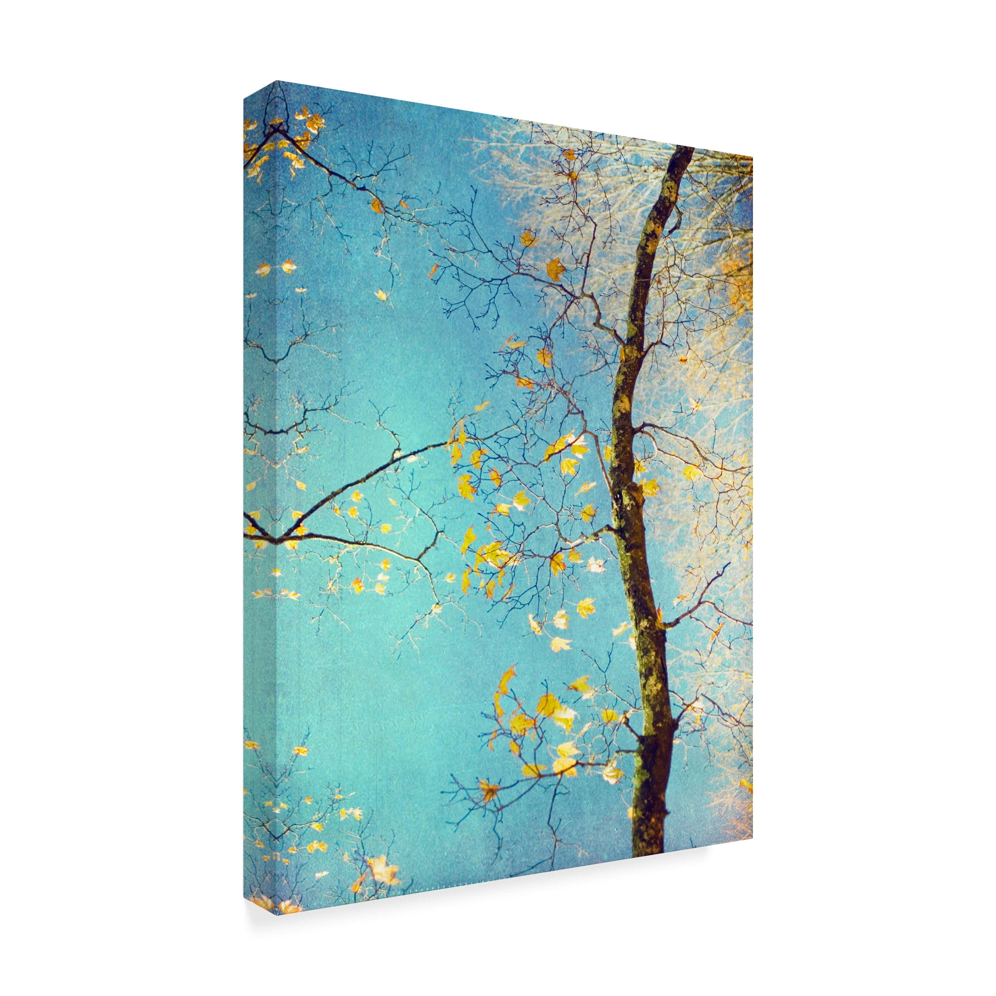Trademark Fine Art 'Autumn Tapestry III' Canvas Art by Judy Stalus