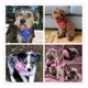 thumbnail image 5 of Bandanas Para Perros, Bufanda Para Mascotas, Pañuelo Para Ca, 5 of 8
