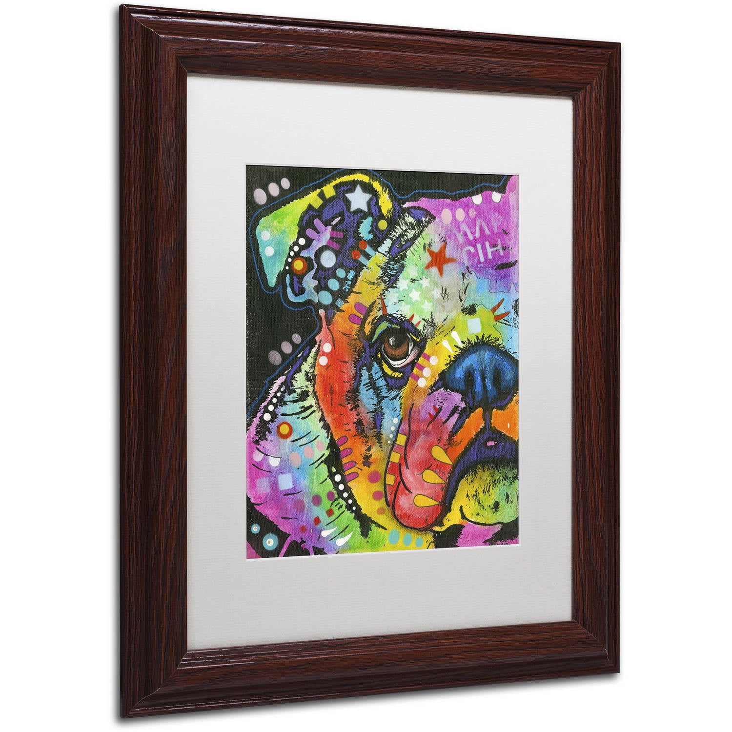Trademark Fine Art "What you lookin at" Canvas Art by Dean Russo, White Matte, Wood Frame