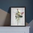 thumbnail image 2 of Miangastore 2Pcs Specimen DIY Display Box Butterflies Specimen Case Plants Display Frame, 2 of 8