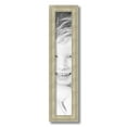 thumbnail image 2 of ArtToFrames 4x23" Silver Panel Picture Frame, Multi Wood Poster Frame, with Regular Acrylic and 2 (FBPL-5094), 2 of 7