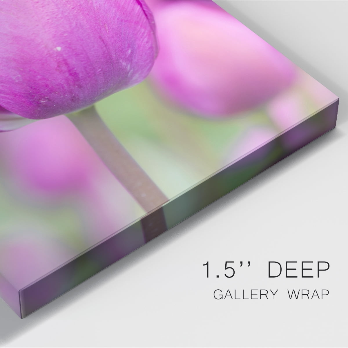 Magenta Stem Premium Gallery Wrapped Canvas - Ready to Hang