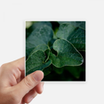 thumbnail image 1 of Dark Picture Nature Sticker Square Waterproof Stickers Wallpaper Car Decal, 1 of 1