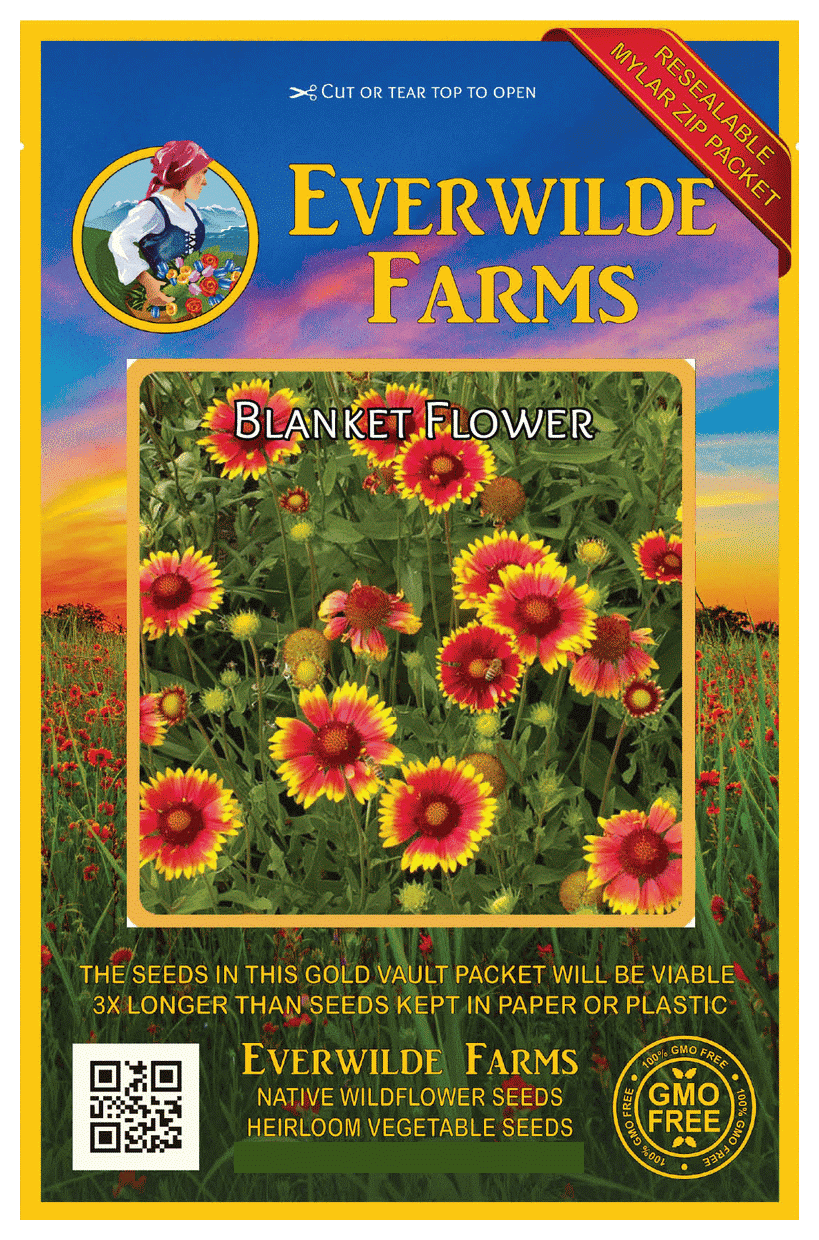 Everwilde Farms 500 Blanket Flower Native Wildflower Seeds Gold