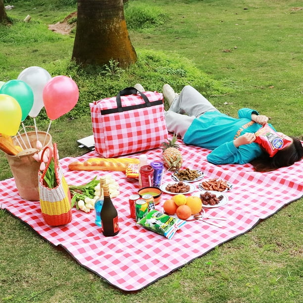 Red check picnic blanket sale