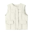 thumbnail image 1 of Ailaofu Womens Puffer Vest Ladies Sleeveless Zip Up Outerwear Warm Puffer Lightweight Down all Winter Jackets Coats, 1 of 3
