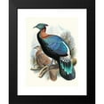 thumbnail image 2 of Joseph Smit 19x24 Black Modern Framed Museum Art Print Titled - Lophophorus Lhuysii. (1872), 2 of 5