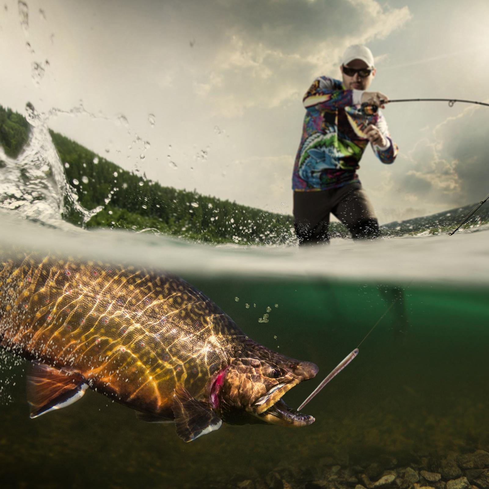 Хард фишинг. Баннер рыбалка. Природа рыбалка. Рыбалка на спиннинг. Fish harder.